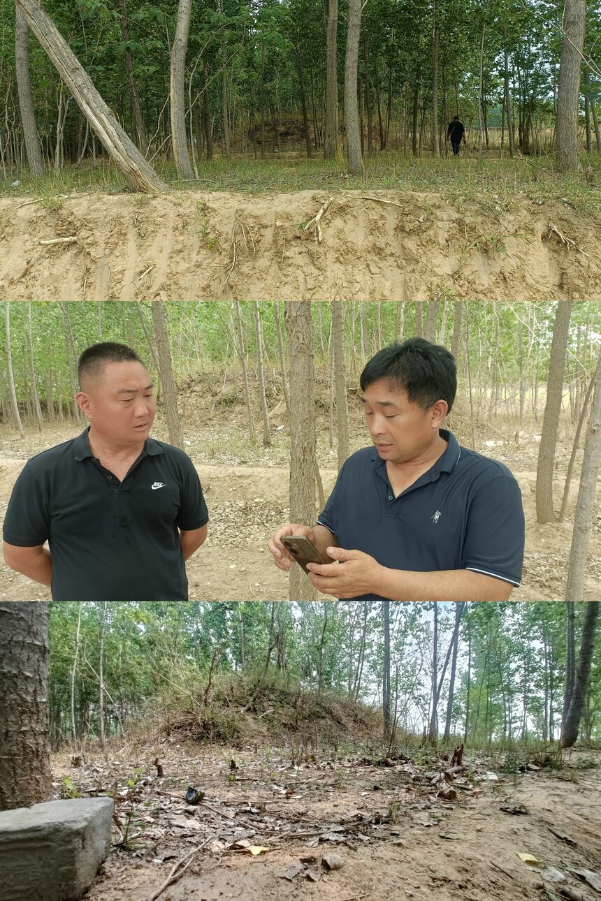 1762253264536726.jpg 4.jpg