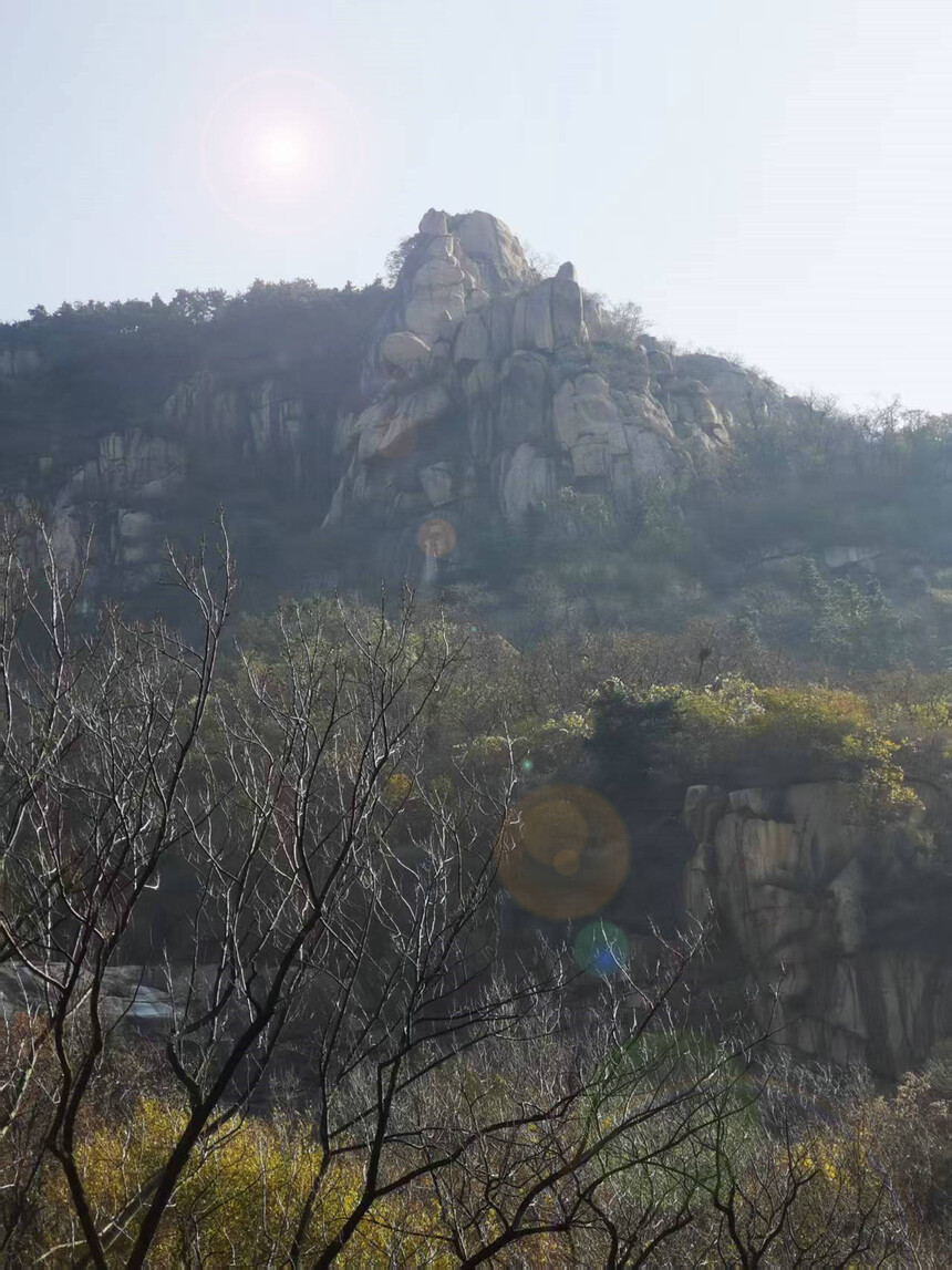 1763108252202853.jpg 1_副本.jpg