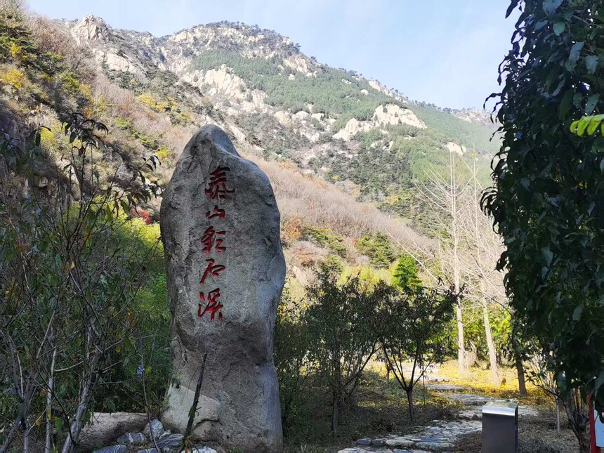 1763108285496394.jpg 2.jpg