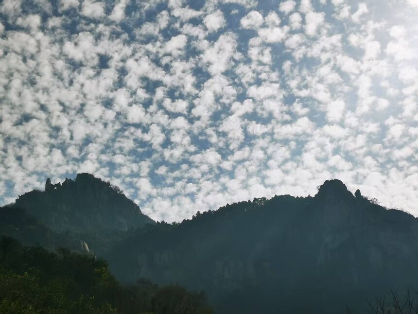 1763108318633643.jpg 4.jpg