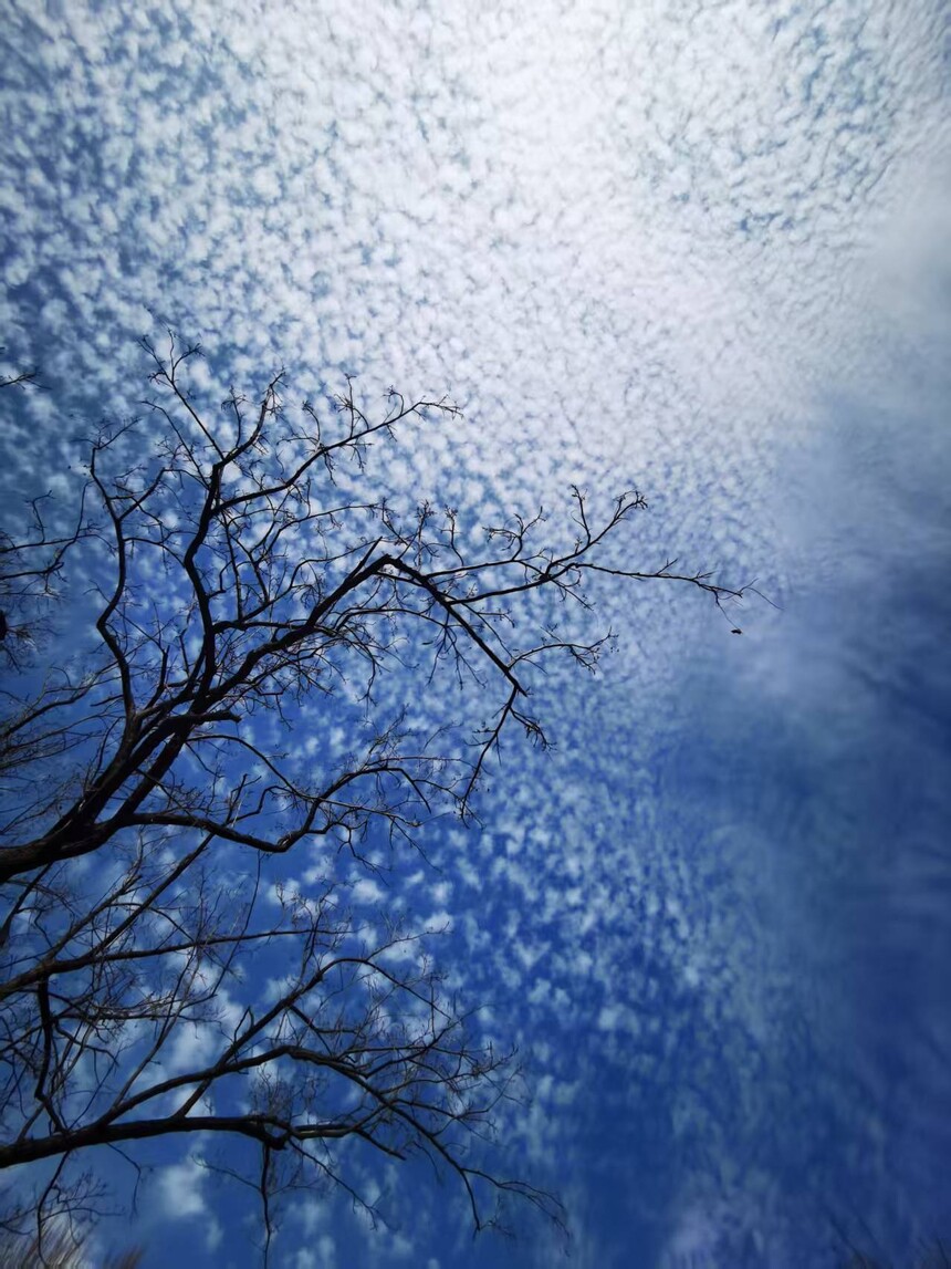 1763108352892206.jpg 3.jpg