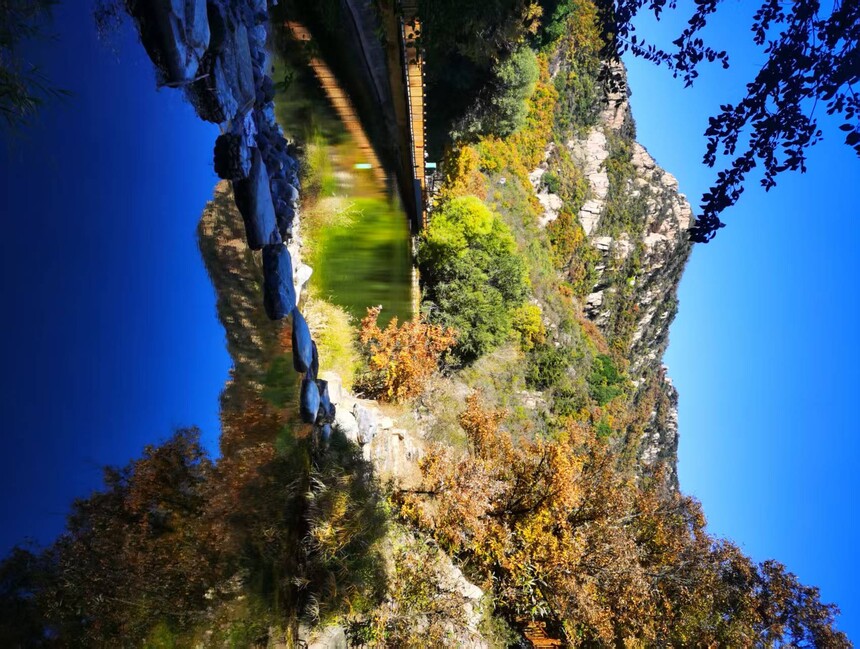 1763108392748209.jpg 5.jpg