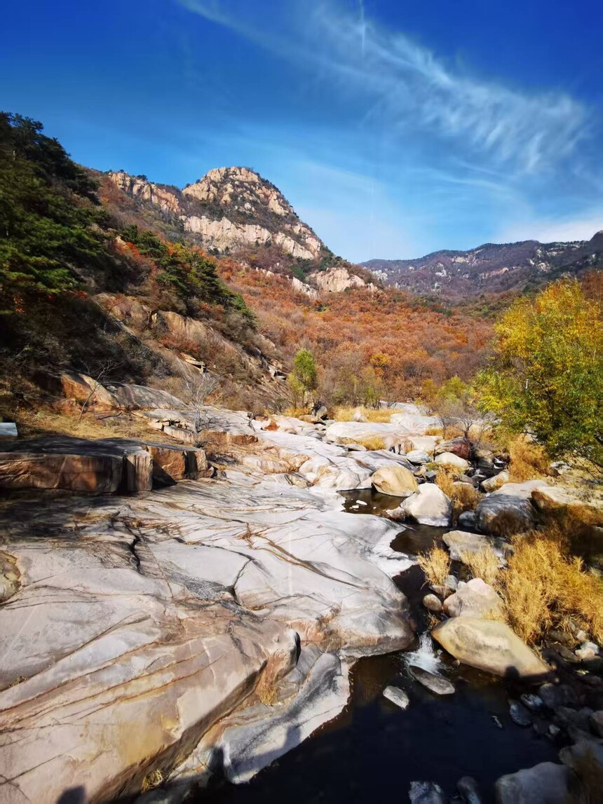 1763108521412499.jpg 7.jpg