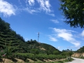 ΢ňDƬ_20200329090451
