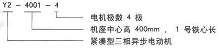 西安泰富西玛Y2系列(H355-560)6KV紧凑型高压异步电机西安西玛电机型号说明 西安泰富西玛Y2系列(H355-560)6KV紧凑型高压异步电机西安西玛电机型号说明