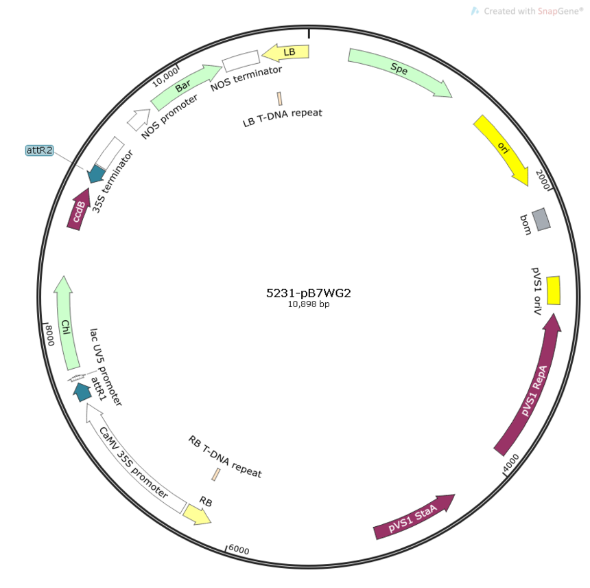 f4868498a1ef80b1895ab1f1b9541d1.png