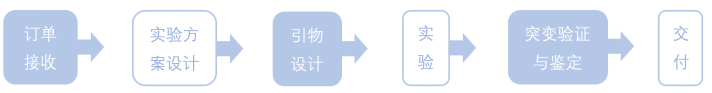 1772248560623480.png 1772248560623480.png