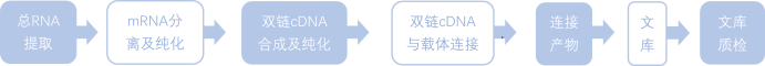 1772436032844218.png 1772436032844218.png