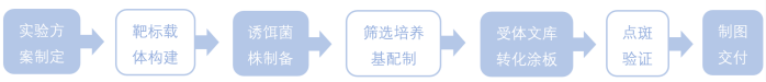 1772591245649654.png 1772591245649654.png