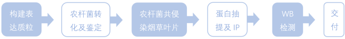 1772593103446982.png 1772593103446982.png