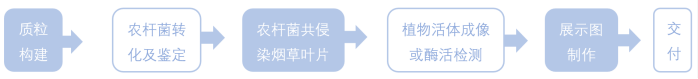 1772673633922454.png 1772673633922454.png