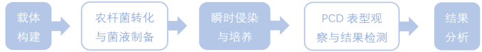 1772676724118632.png 1772676724118632.png