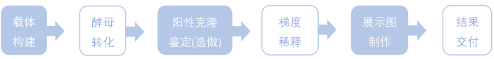 1772768757120425.png 1772768757120425.png