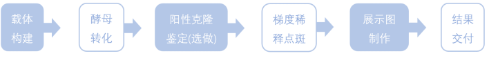 1772769250996435.png 1772769250996435.png