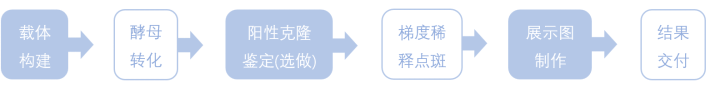 1772776911810612.png 1772776911810612.png