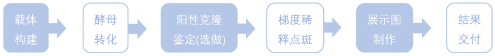 1772778469108719.png