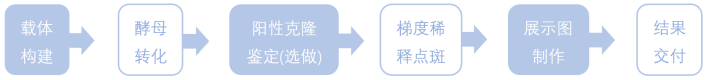 1772780231376588.png 1772780231376588.png