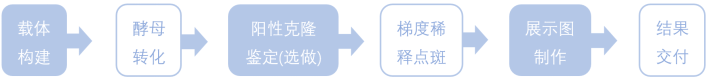 1772845531683416.png 1772845531683416.png