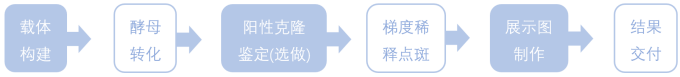 1772845811627285.png 1772845811627285.png