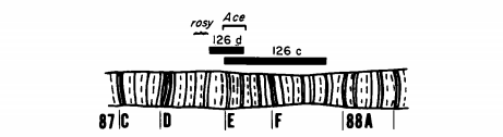 1778811122514334.png image.png