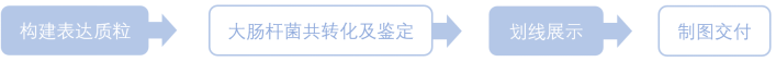 1787133019857294.png 1787133019857294.png