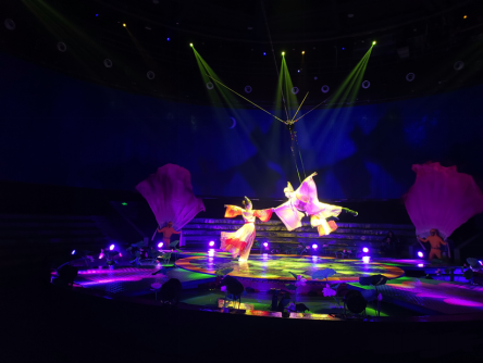 01 �M�꡶�������P��.png