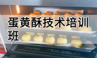 蛋黄酥技术培训班(蛋黄酥培训学校学费多少