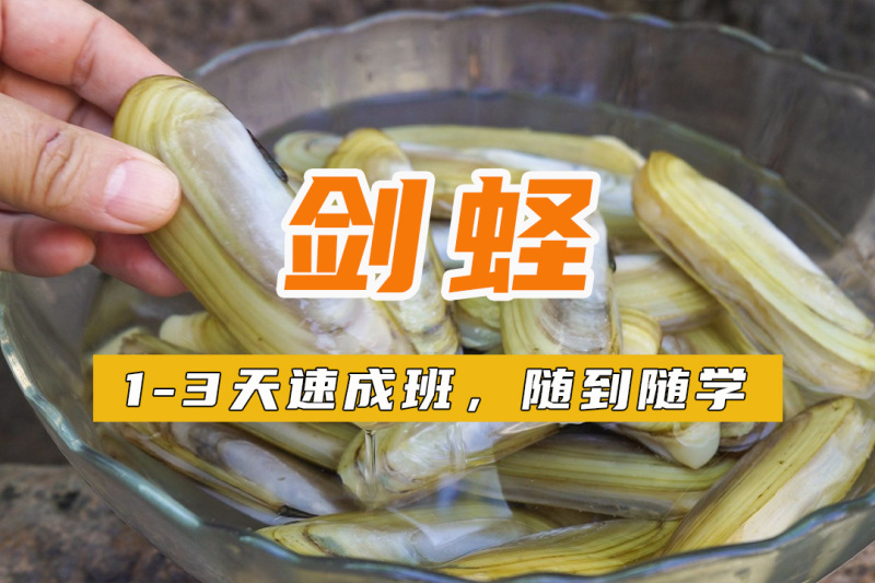 ѵ ѵ ѵѧУ