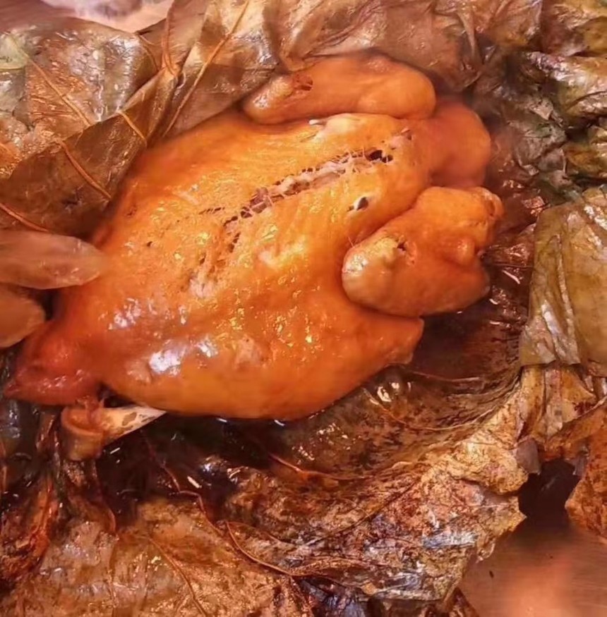 ڽлѵ ڽлѵ ڽлѵѧУ