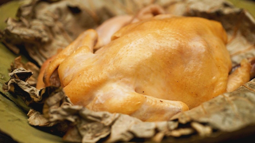 ڽлѵ ڽлѵ ڽлѵѧУ