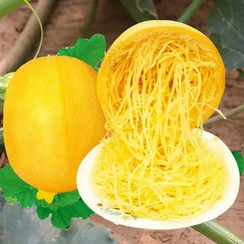 ˿ϵȫ˿󼸷Ӻȡ˿