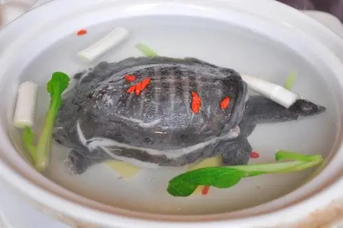 óԵû