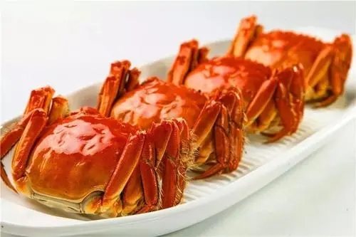 зļҳȫзôԸӪ