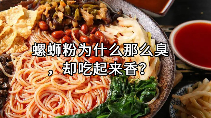 ϷΪʲôôȴ㣿