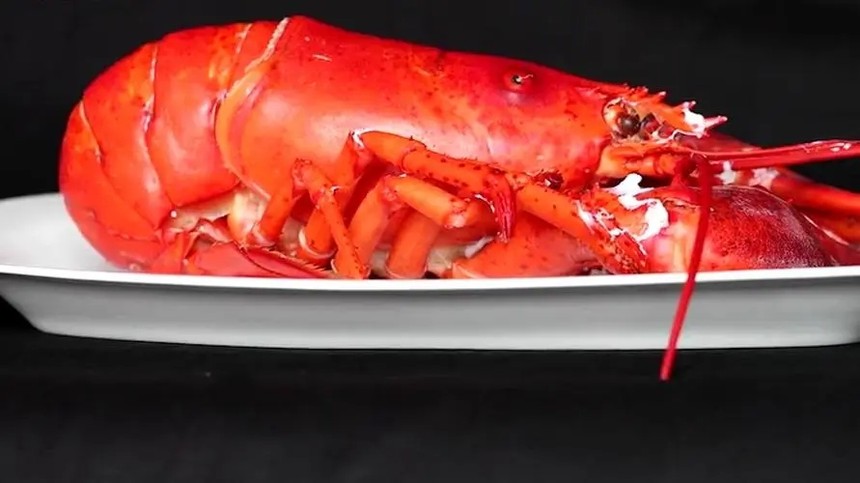 ϺʳﻹʳϺڵĳԷ
