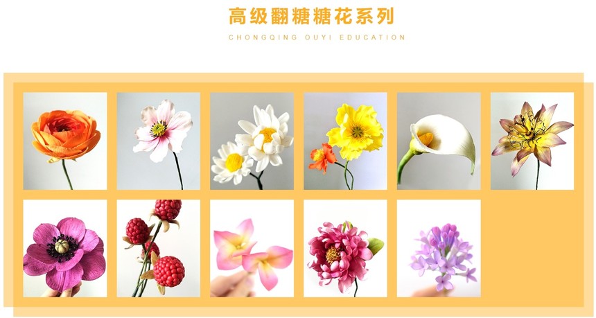 決ȫܰ࣬ȫʵټ+䷽