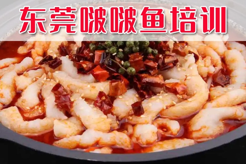 ݸǰʮѵѧУ