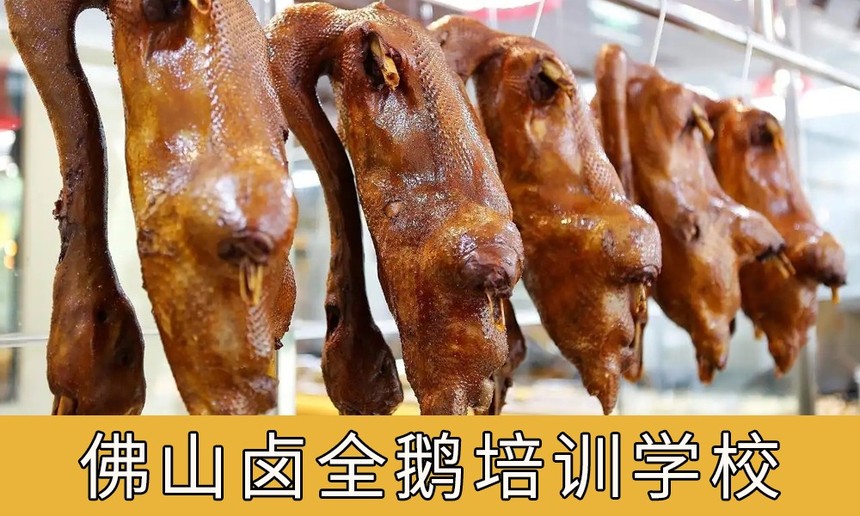 ɽǰʮ±ȫѵѧУ
