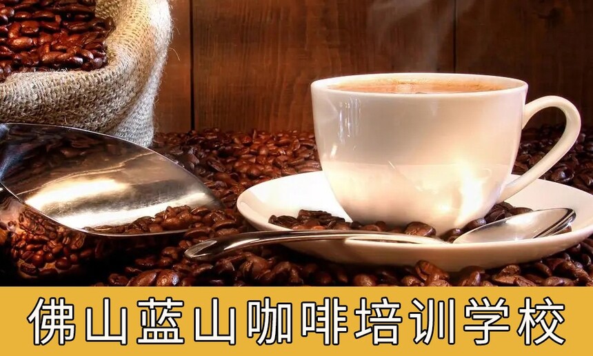 ɽǰʮɽѵѧУ