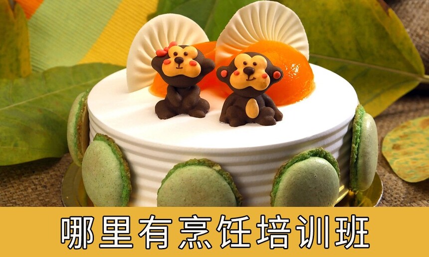 ѵ࣬ѵѧУ