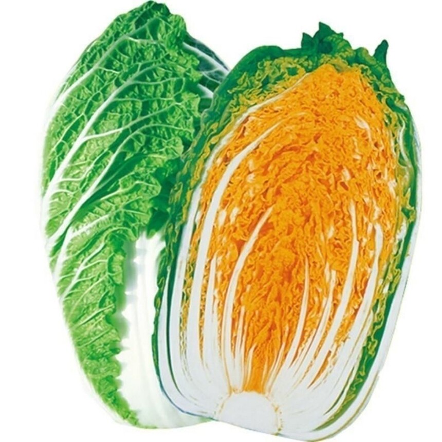 ɫ߲ЩƷ֣Ժɫ߲Щô