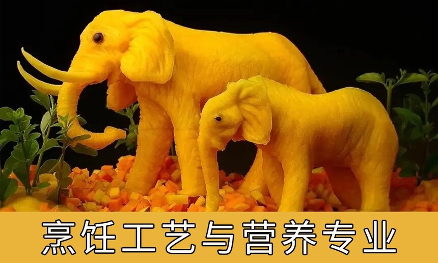 ⿹Ӫרҵѧʲô⿹Ӫרҵô