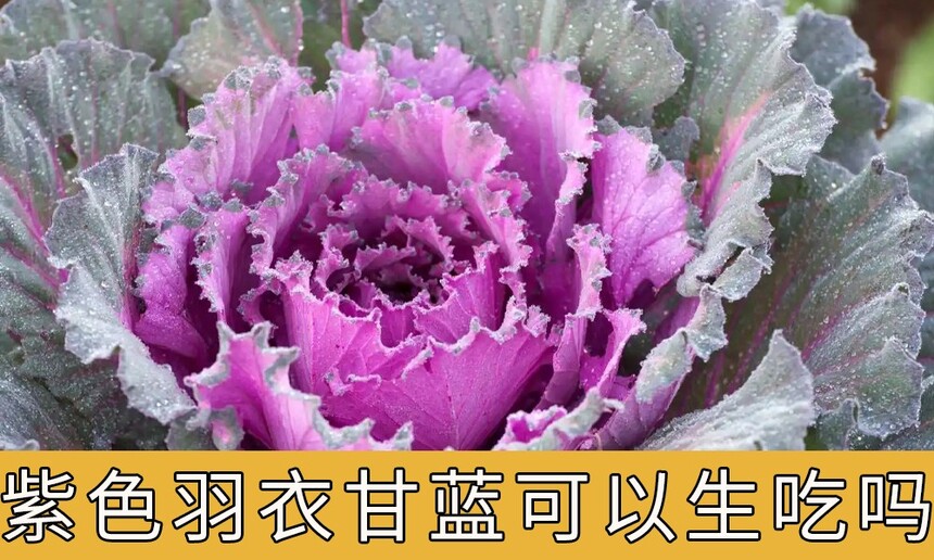 ɫ¸ж