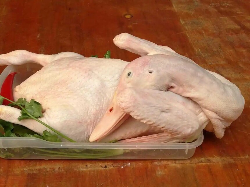 ѼǺ⻹ǰ⣬ѼĹЧЩ