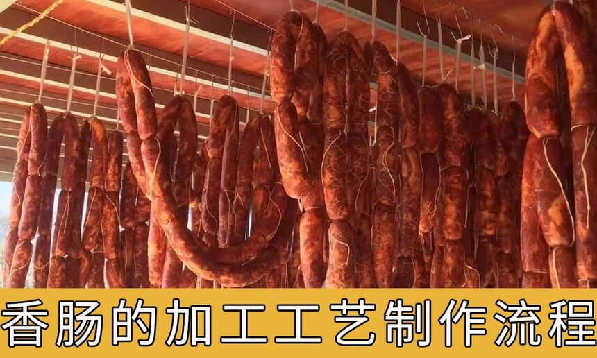 㳦ļӹ̣㳦ӹȫ