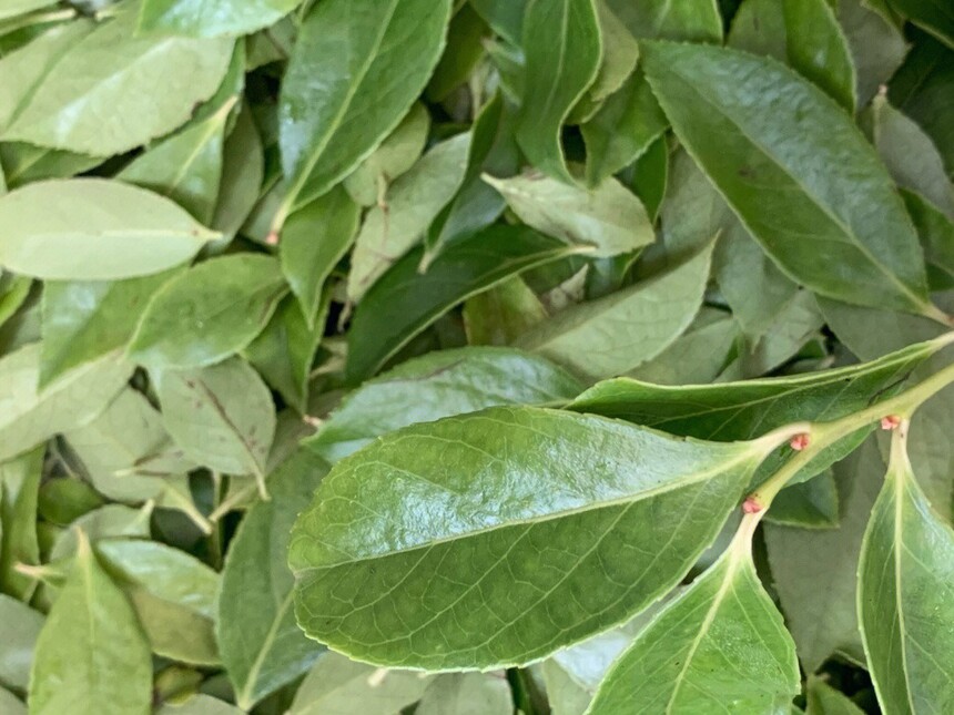 ׷ҶʲôҶӣ׷ҶʲôҶģ