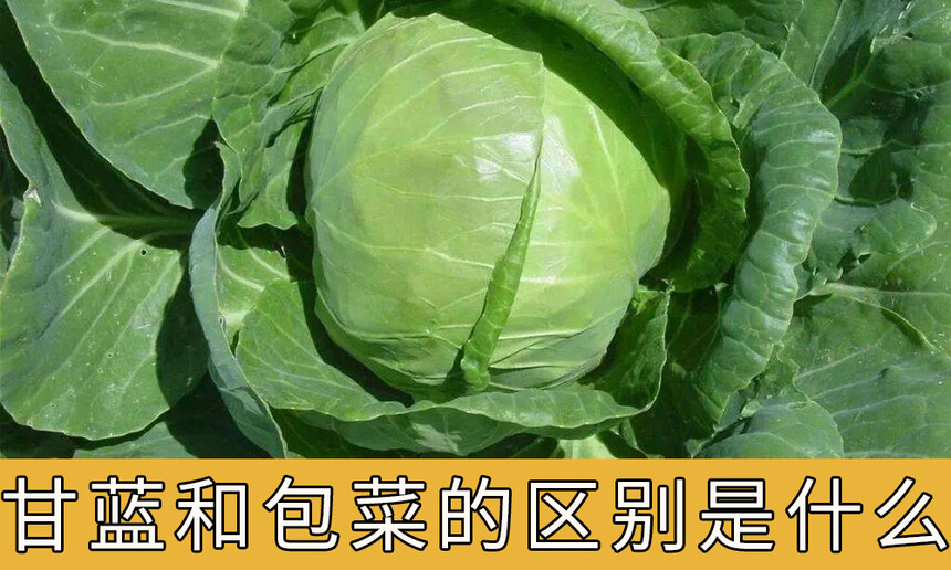 Ͱ˵ʲôָͰˣ 