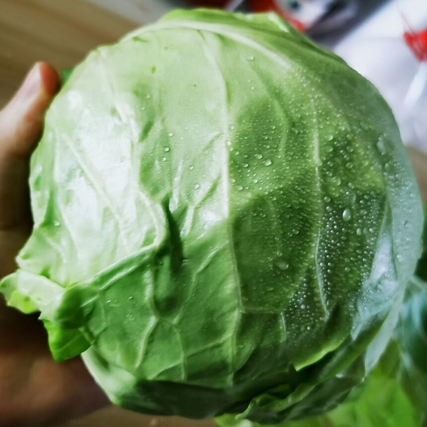 Ͱ˵ʲôָͰˣ 