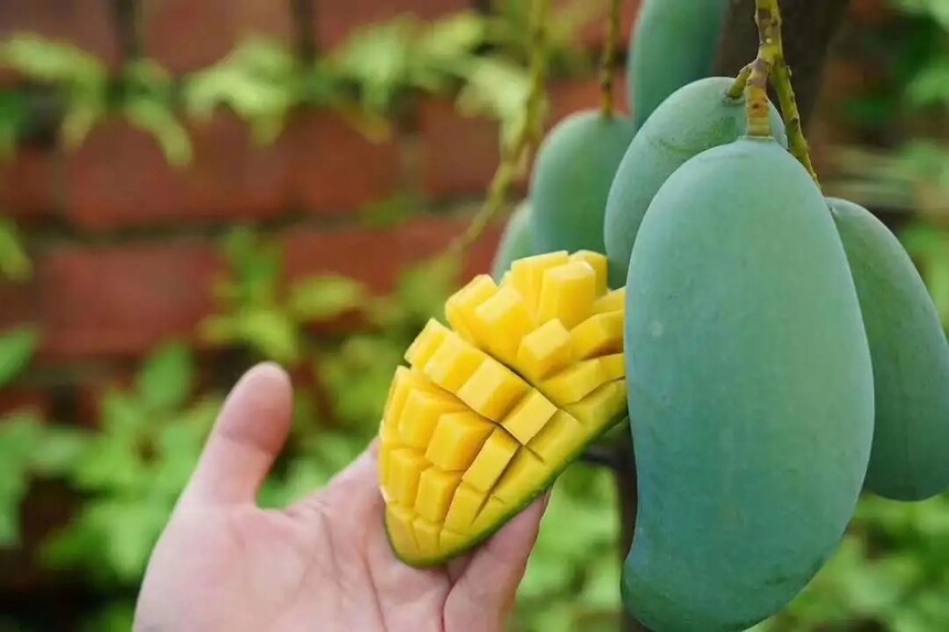 âƷĸóâƷЩƷƣ