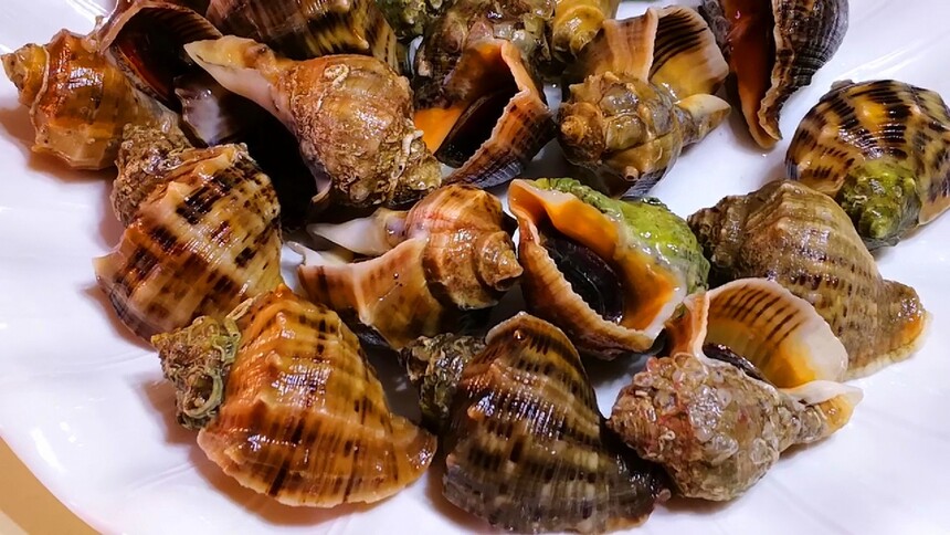 海螺的做法煮多长时间，海螺的吃法哪个部位不能吃？